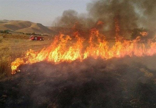 8 هکتار از زمین های کشاورزی دالاهو در آتش سوخت 8 هکتار از زمین های کشاورزی دالاهو در آتش سوخت
