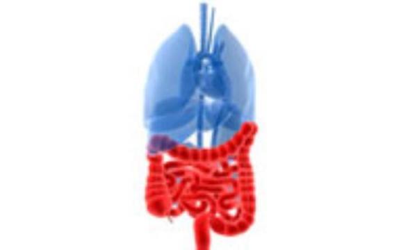 دلتان آشوب است؟ شاید IBS دارید! دلتان آشوب است؟ شاید IBS دارید!