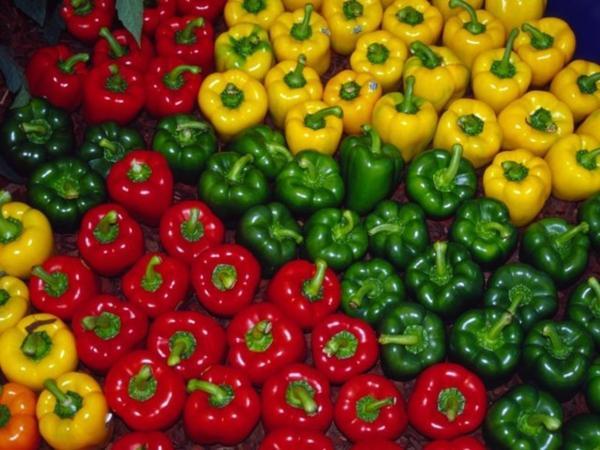 چرا روسیه فلفل های ایرانی را نمی خرد؟ چرا روسیه فلفل های ایرانی را نمی خرد؟